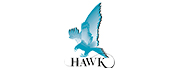 Hawk logo in turquoise and black color